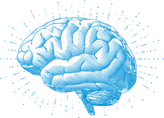 Blue brain