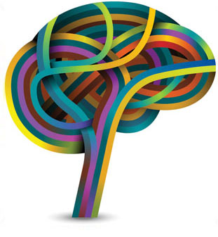 Brain Image