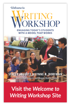 Writing Workshop book cover