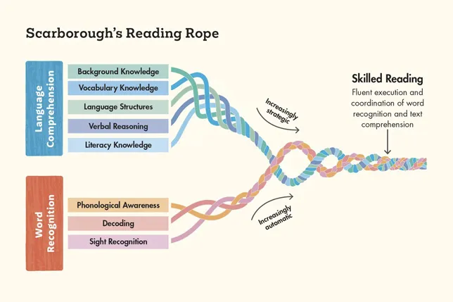 Three word recognition subskills and five language comprehension subskills strands wind tightly together to form a strong "skilled reading" rope.