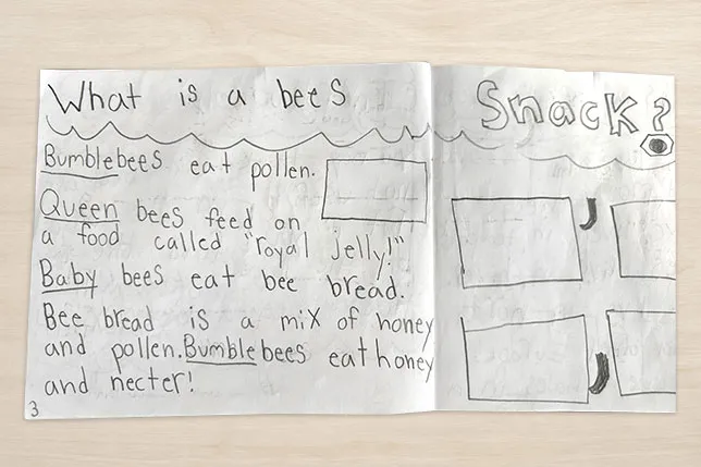 Student writing about what bumblebees eat 