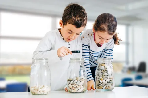 A pair of students investigate three glass jars filled with different numbers of objects